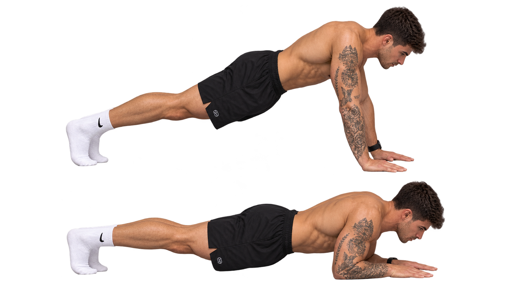 Sphinx Push Up